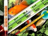 Thermometers for aquariums